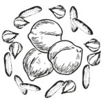 pois-chiche-riz pois-chiche-riz